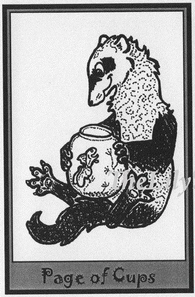 Page of Cups card from the Ferret Tarot deck