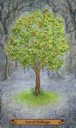 4 of Challenges - Forest of Enchantment Tarot - Tarot Deck by Lunaea Weatherstone