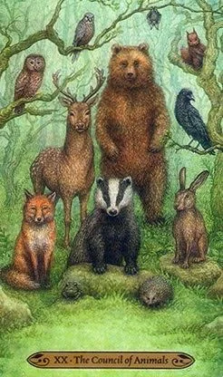 Forest Of Enchantment Tarot Deck Review 8 The Council of Animals - Forest of Enchantment Tarot - Tarot Deck by Lunaea Weatherstone