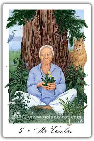 The Teacher card from the Gaian Tarot deck