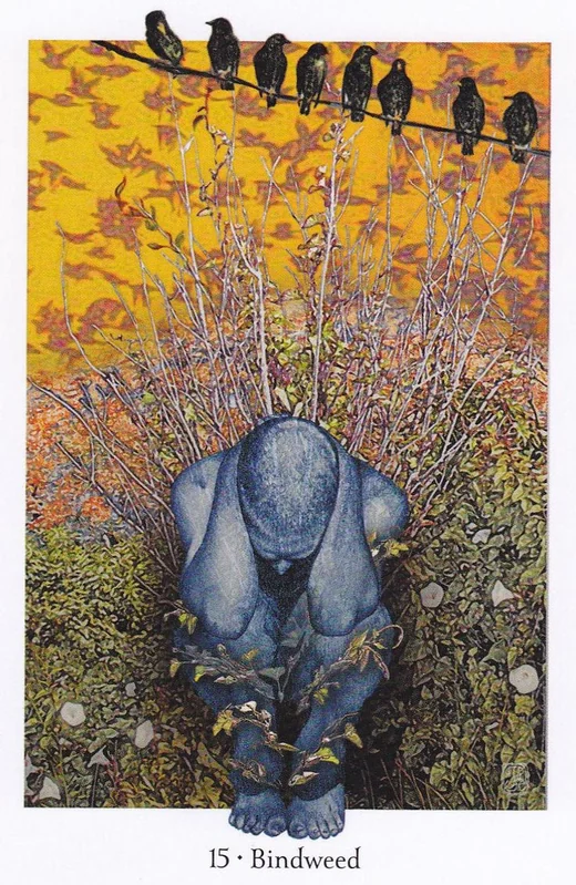 Bindweed card from the Gaian Tarot deck