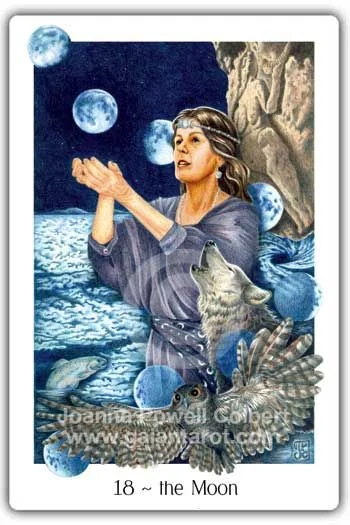 The Moon card from the Gaian Tarot deck