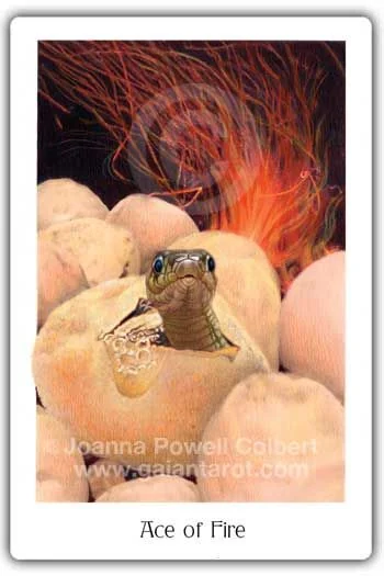 Ace of Fire card from the Gaian Tarot deck