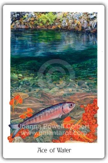 Ace of Water card from the Gaian Tarot deck