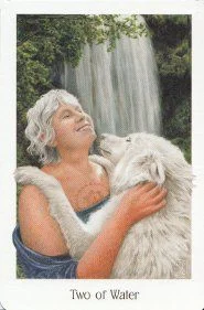 Two of Water card from the Gaian Tarot deck