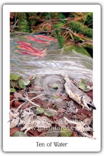 Ten of Water card from the Gaian Tarot deck