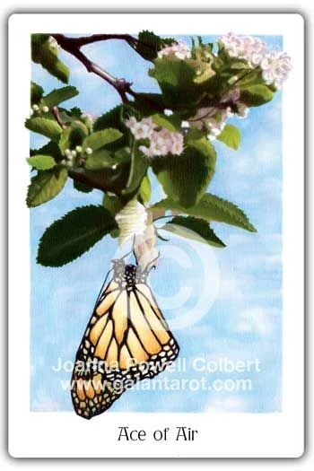 Ace of Air card from the Gaian Tarot deck