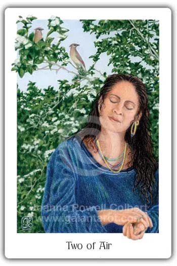 Two of Air card from the Gaian Tarot deck