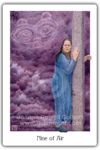 Five of Air card from the Gaian Tarot deck