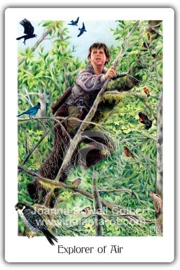 Explorer of Air card from the Gaian Tarot deck