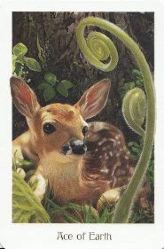 Ace of Earth card from the Gaian Tarot deck