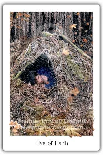 Five of Earth card from the Gaian Tarot deck
