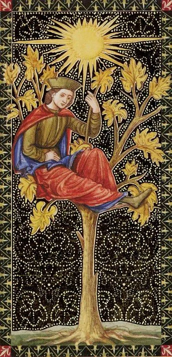Golden Tarot of the Renaissance Review 9 Ace of Wands from the Golden Tarot of the Renaissance card gallery