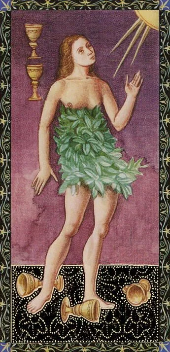 Golden Tarot of the Renaissance Review 17 Five of Cups from the Golden Tarot of the Renaissance card gallery