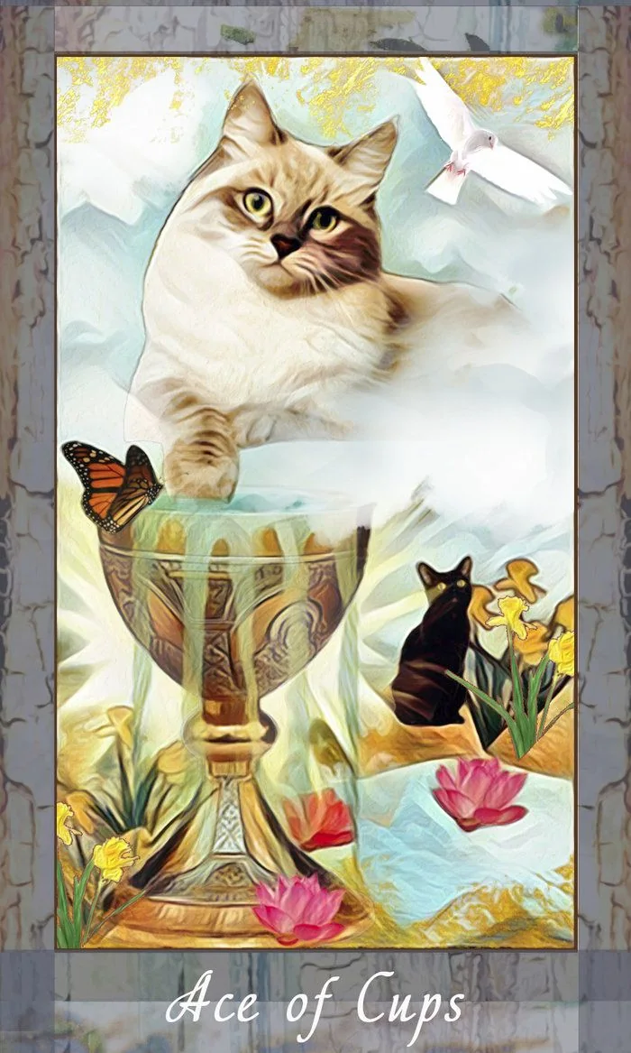 Ace of Cups - The Grimalkin Tarot - MJ Cullinane