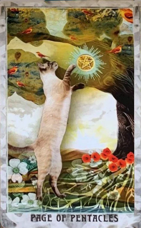 Grimalkin Tarot card 04 card from the Grimalkin Tarot deck