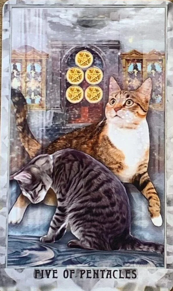 Grimalkin Tarot card 07 card from the Grimalkin Tarot deck