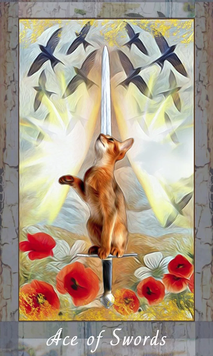 Grimalkin Tarot card 26 card from the Grimalkin Tarot deck