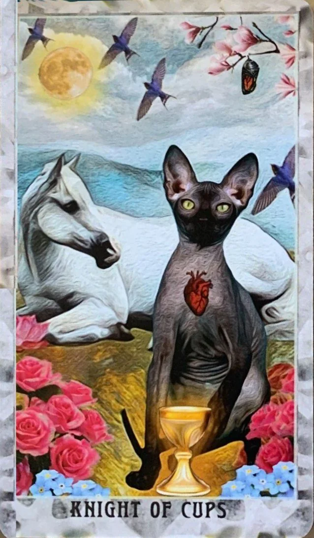 Grimalkin Tarot card 34 card from the Grimalkin Tarot deck