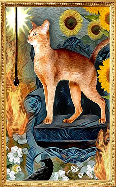 Grimalkin Tarot card 44 card from the Grimalkin Tarot deck