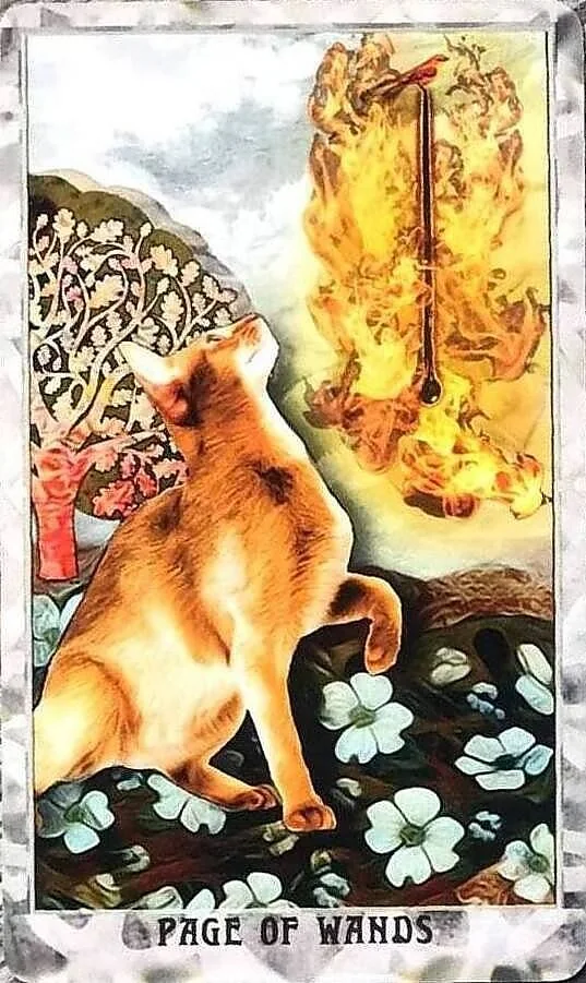 Grimalkin Tarot card 46 card from the Grimalkin Tarot deck