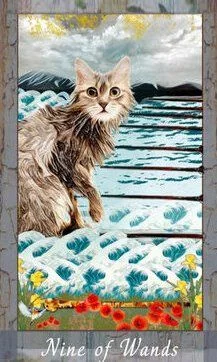 Grimalkin Tarot card 48 card from the Grimalkin Tarot deck