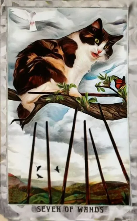 Grimalkin Tarot card 50 card from the Grimalkin Tarot deck
