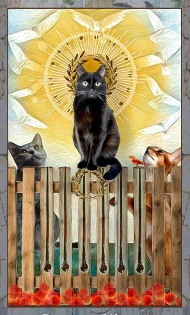 Grimalkin Tarot card 53 card from the Grimalkin Tarot deck