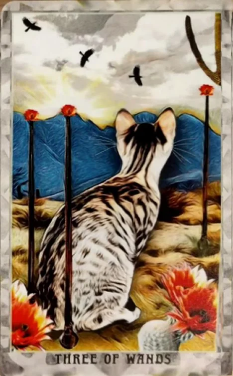 Grimalkin Tarot card 54 card from the Grimalkin Tarot deck