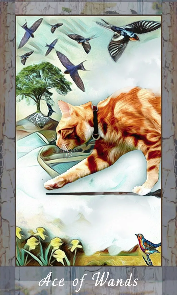 Grimalkin Tarot card 56 card from the Grimalkin Tarot deck