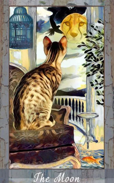 Grimalkin Tarot card 60 card from the Grimalkin Tarot deck