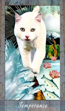 Grimalkin Tarot card 64 card from the Grimalkin Tarot deck