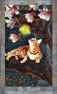 Grimalkin Tarot card 69 card from the Grimalkin Tarot deck