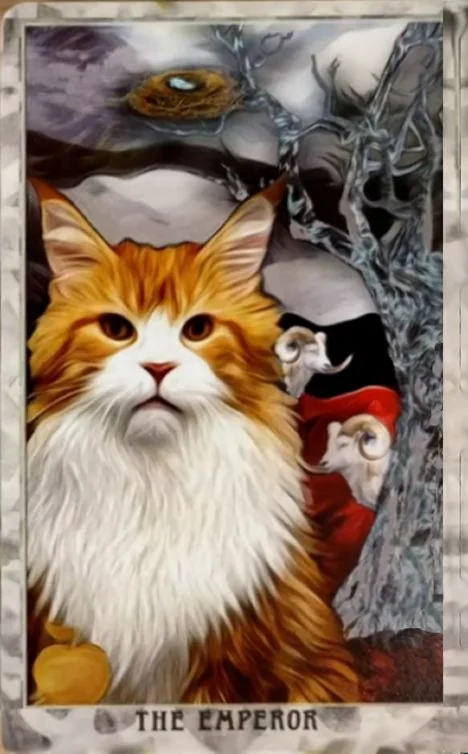 Grimalkin Tarot card 74 card from the Grimalkin Tarot deck