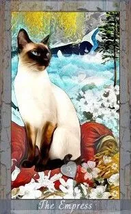 Grimalkin Tarot card 75 card from the Grimalkin Tarot deck