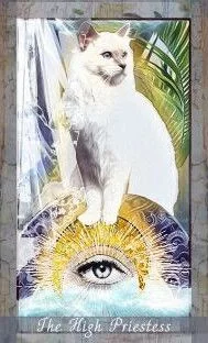 Grimalkin Tarot card 76 card from the Grimalkin Tarot deck