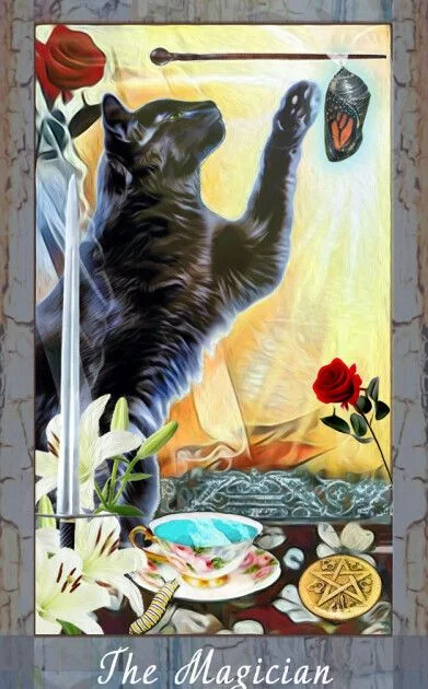 Grimalkin Tarot card 77 card from the Grimalkin Tarot deck