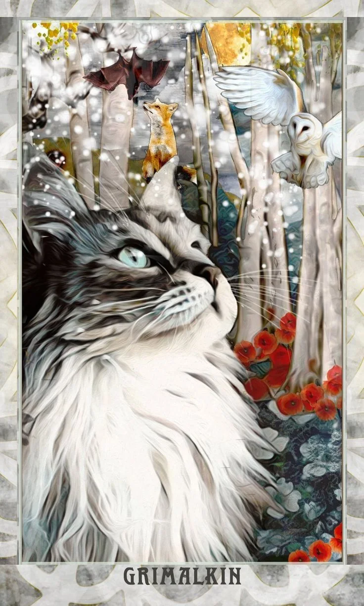Grimalkin Tarot card 80 card from the Grimalkin Tarot deck