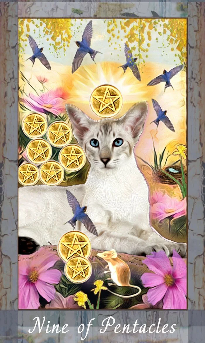 Nine of Pentacles - The Grimalkin Tarot - MJ Cullinane