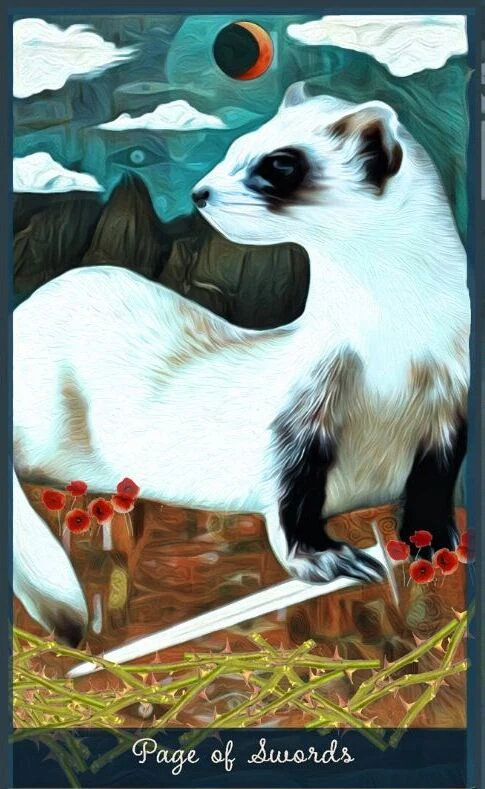 Page of Swords card from the Guardian of the Night Tarot deck