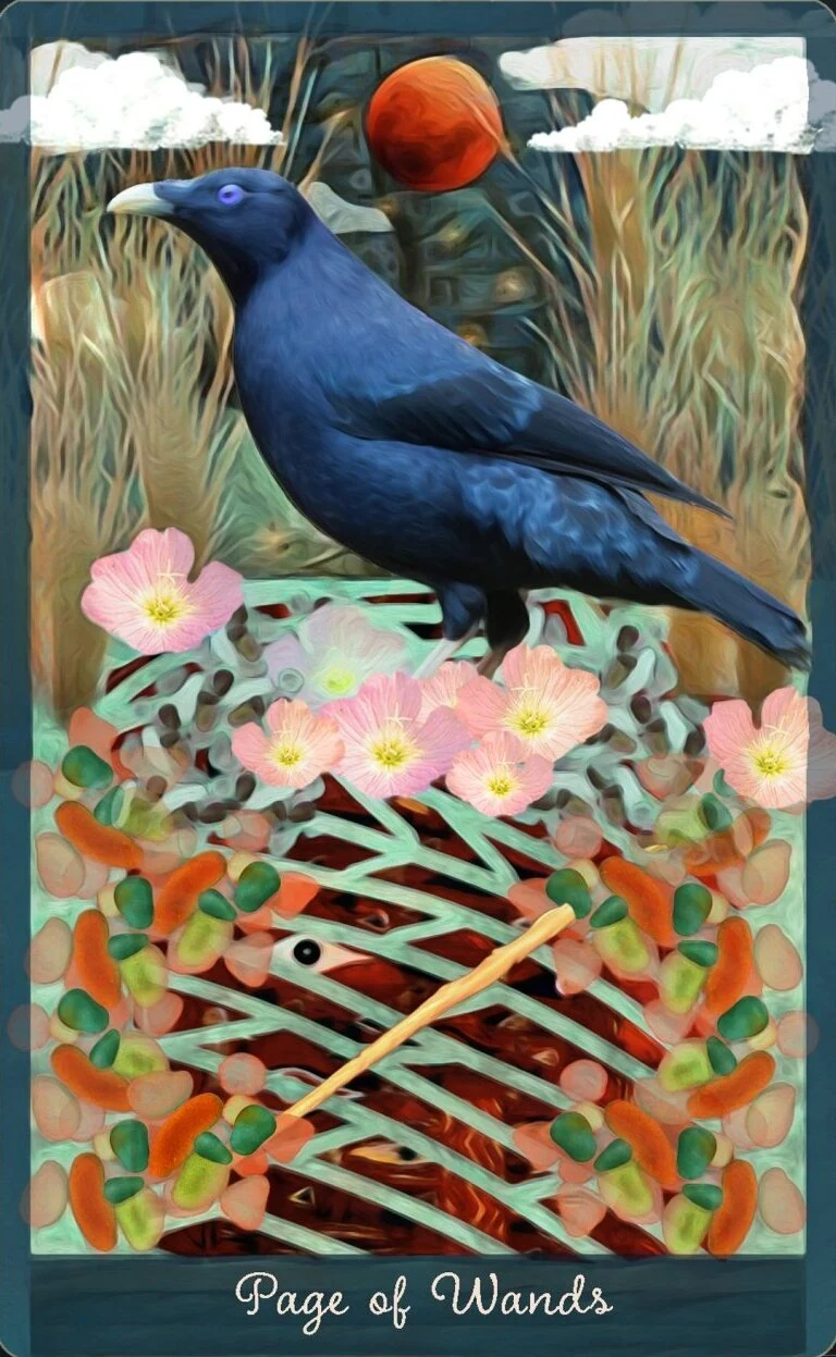Page of Wands card from the Guardian of the Night Tarot deck