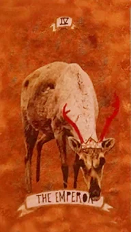 Guided Hand Tarot recovered card 20 card from the Guided Hand Tarot deck