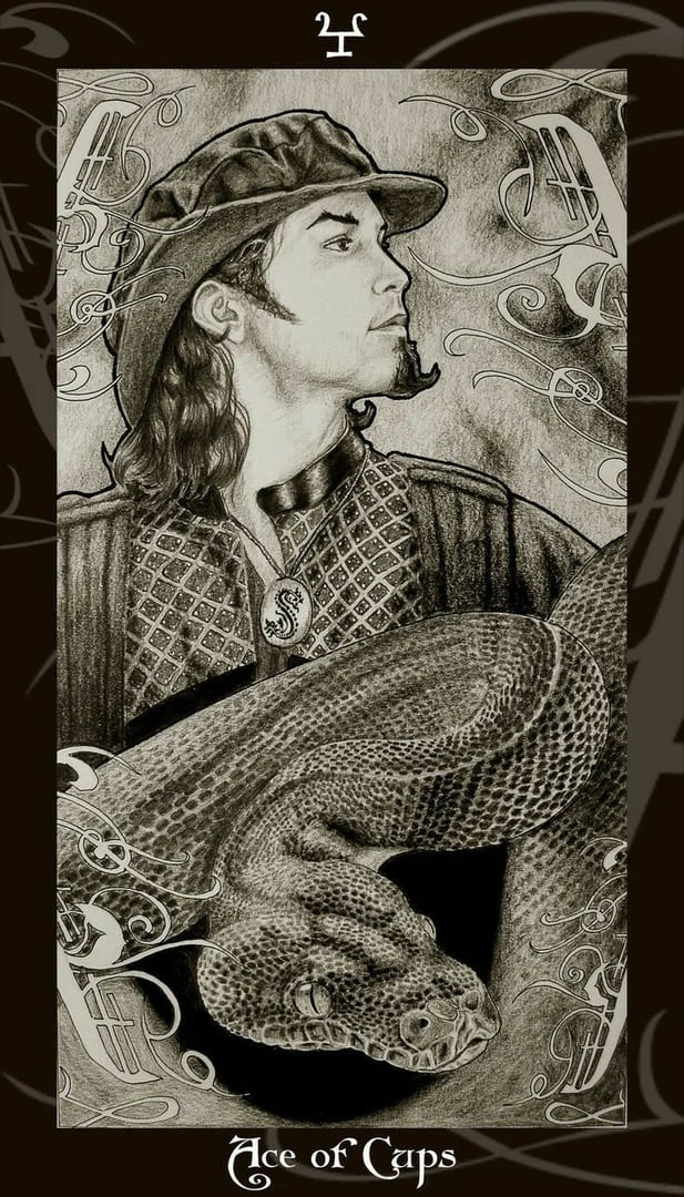 Ace of Cups card from the Harry Potter Tarot deck