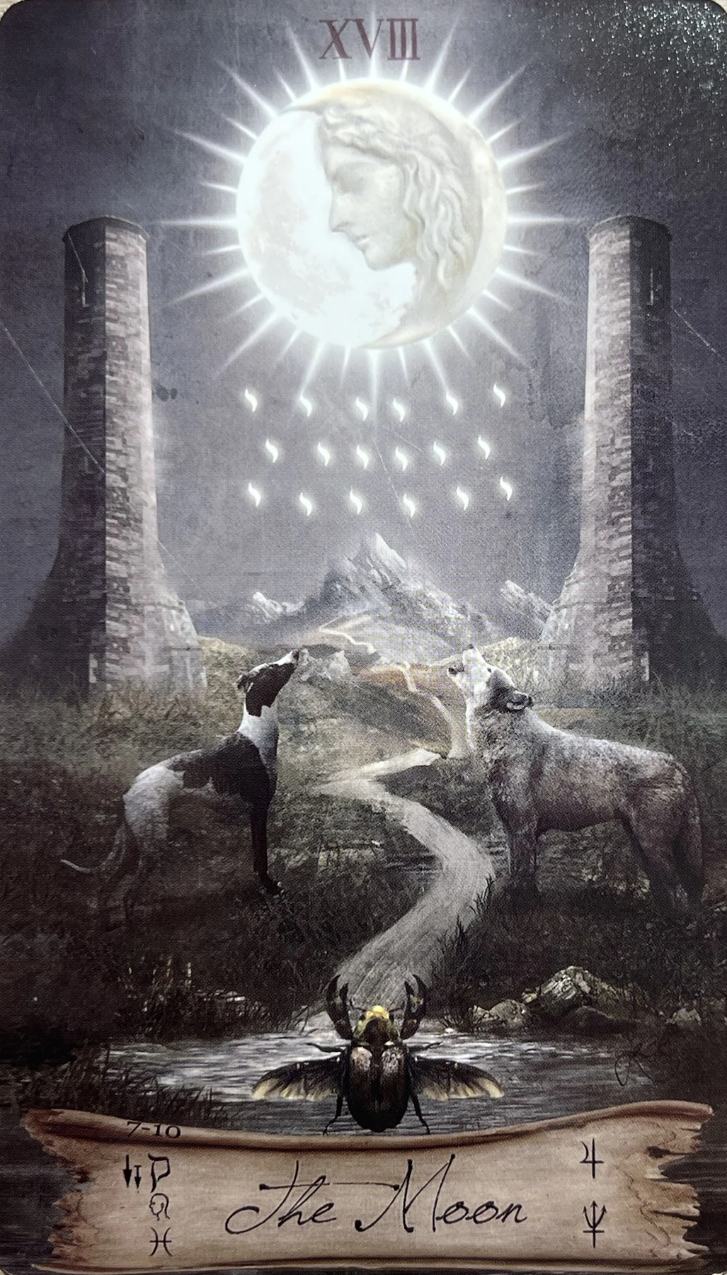 The Moon card from the Heaven and Earth Tarot deck