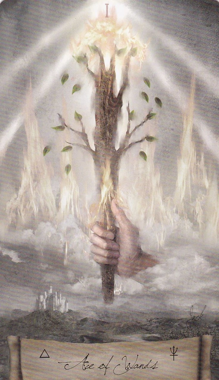 Ace of Wands card from the Heaven and Earth Tarot deck