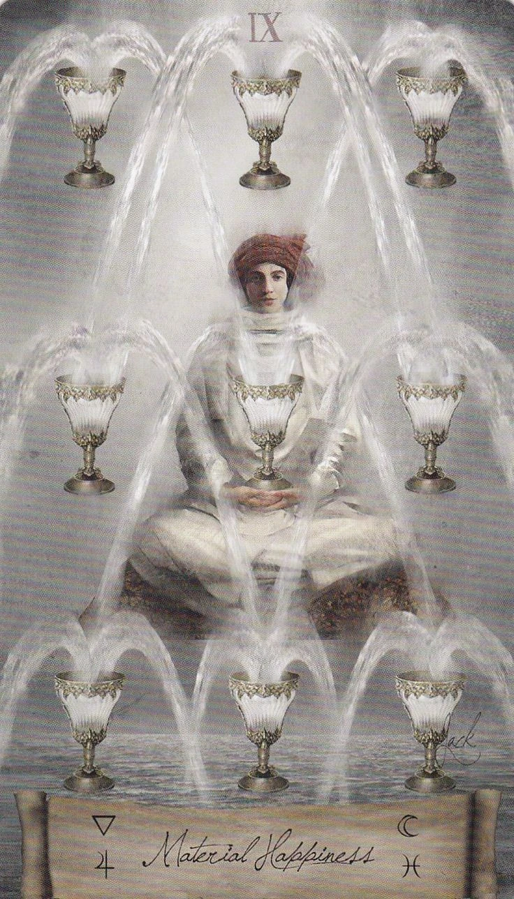Nine of Cups card from the Heaven and Earth Tarot deck