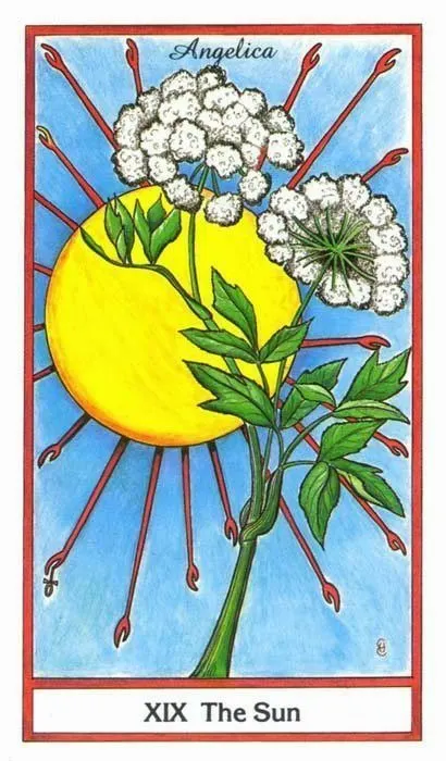 The Sun card from the Herbal Tarot deck