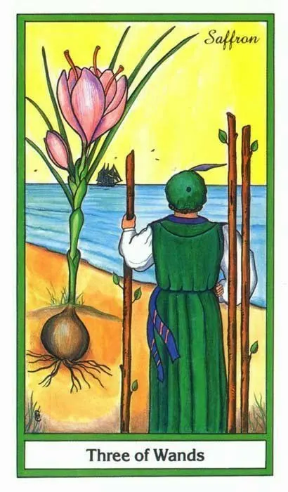 3 of Wands card from the Herbal Tarot deck