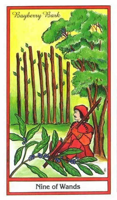 9 of Wands card from the Herbal Tarot deck