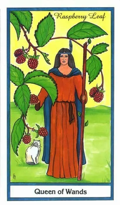 Queen of Wands card from the Herbal Tarot deck